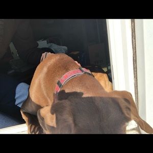 Meet your Posher, Ruth